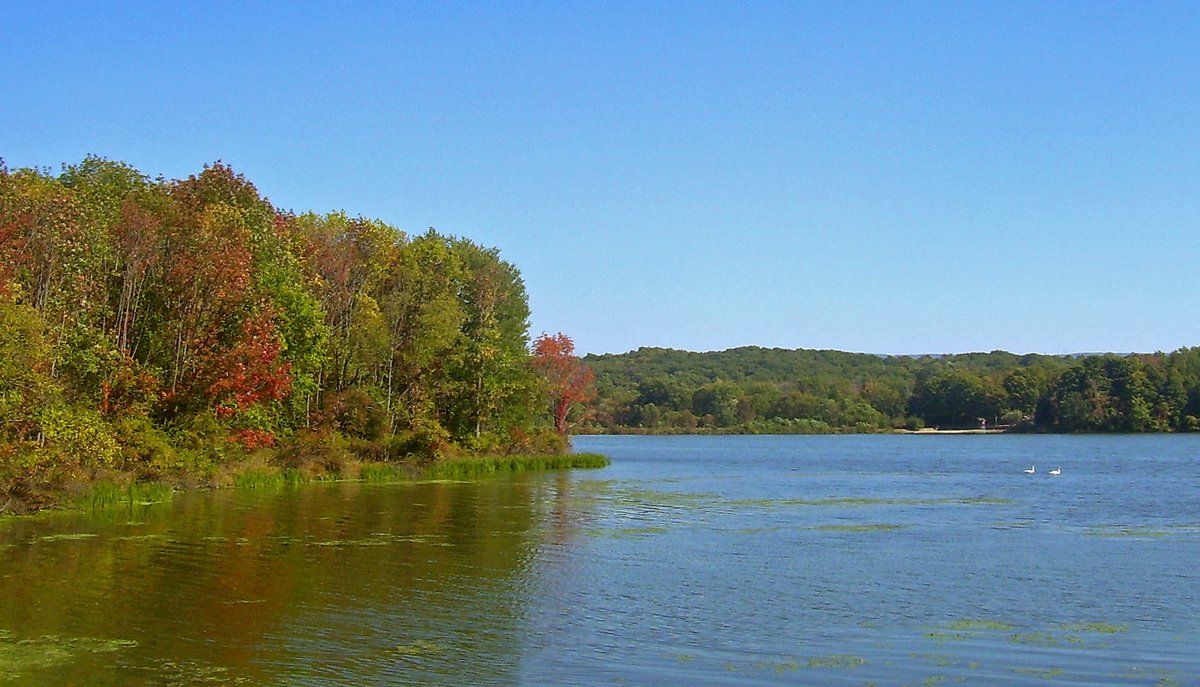 Lake Grove, NY - File:Tomahawk Lake, NY.jpg - Wikimedia Commons